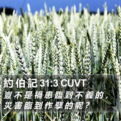 約 伯 記 31:3 CUVT Bible Verse Image