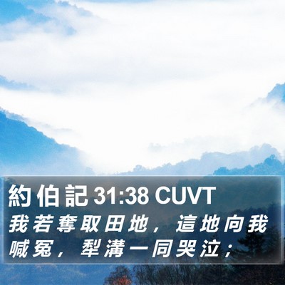 約 伯 記 31:38 CUVT Bible Verse Image