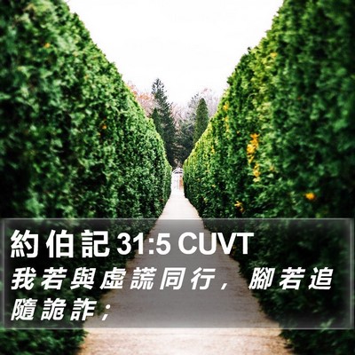 約 伯 記 31:5 CUVT Bible Verse Image