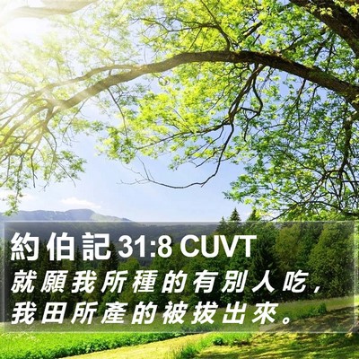 約 伯 記 31:8 CUVT Bible Verse Image
