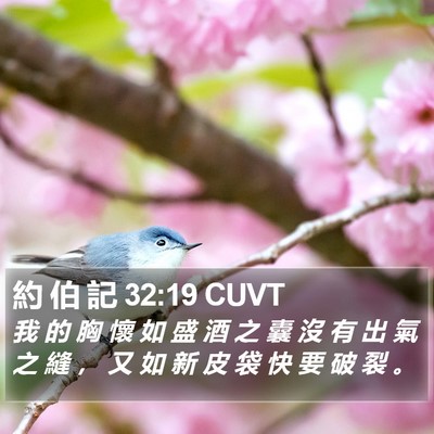 約 伯 記 32:19 CUVT Bible Verse Image