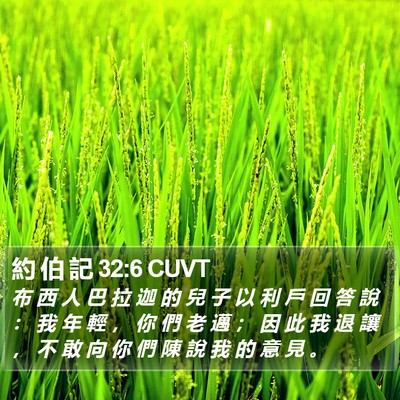 約 伯 記 32:6 CUVT Bible Verse Image