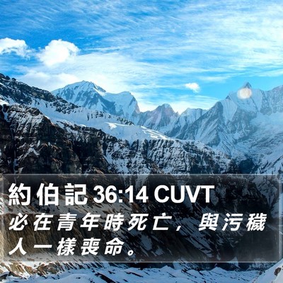 約 伯 記 36:14 CUVT Bible Verse Image
