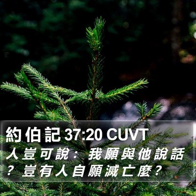 約 伯 記 37:20 CUVT Bible Verse Image