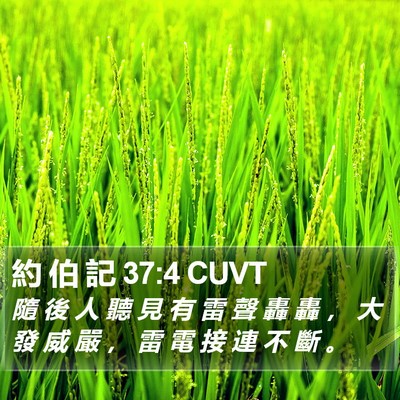 約 伯 記 37:4 CUVT Bible Verse Image