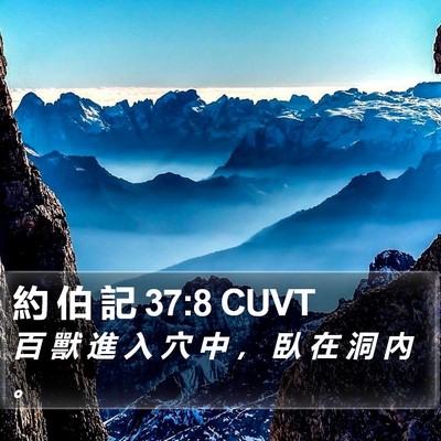 約 伯 記 37:8 CUVT Bible Verse Image