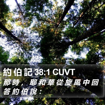 約 伯 記 38:1 CUVT Bible Verse Image