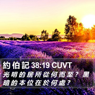 約 伯 記 38:19 CUVT Bible Verse Image
