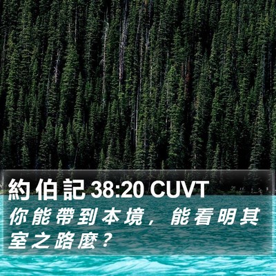 約 伯 記 38:20 CUVT Bible Verse Image