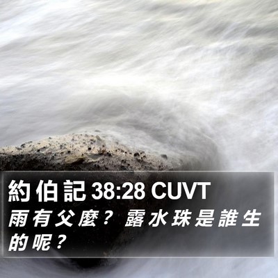 約 伯 記 38:28 CUVT Bible Verse Image