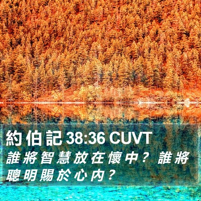 約 伯 記 38:36 CUVT Bible Verse Image