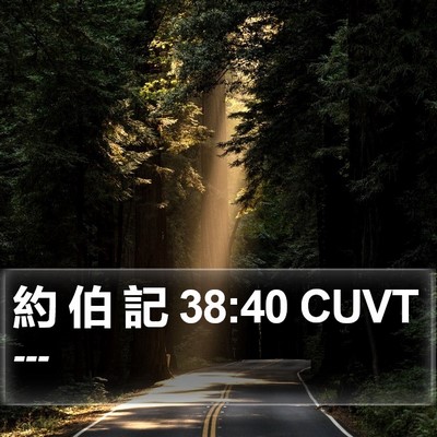 約 伯 記 38:40 CUVT Bible Verse Image