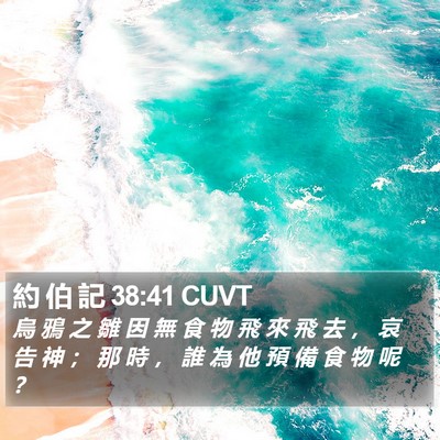約 伯 記 38:41 CUVT Bible Verse Image