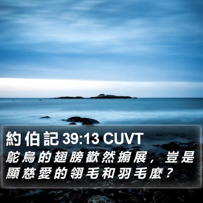 約 伯 記 39:13 CUVT Bible Verse Image