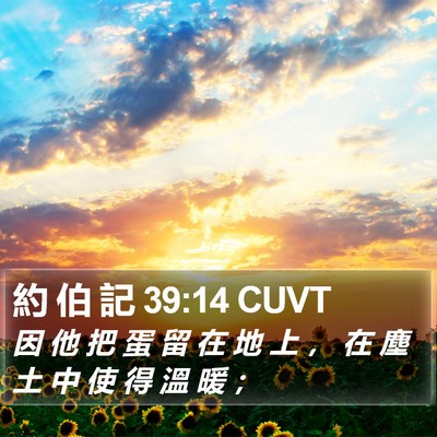 約 伯 記 39:14 CUVT Bible Verse Image