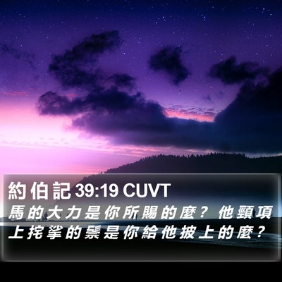 約 伯 記 39:19 CUVT Bible Verse Image