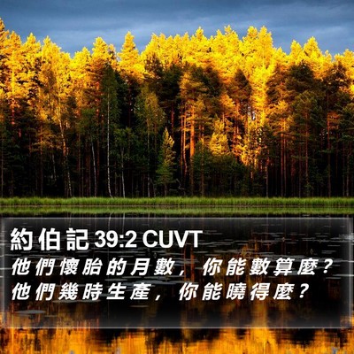 約 伯 記 39:2 CUVT Bible Verse Image
