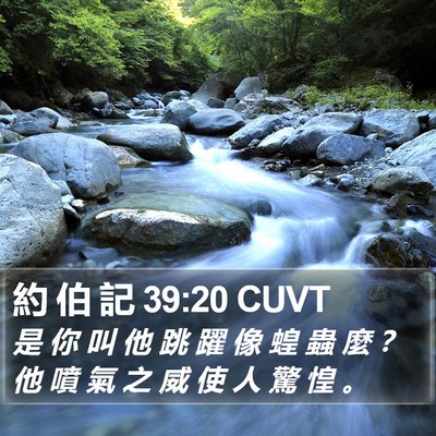 約 伯 記 39:20 CUVT Bible Verse Image