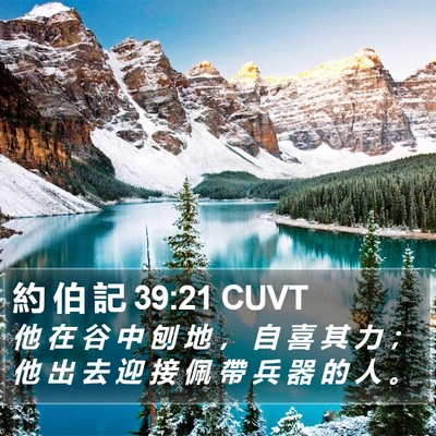 約 伯 記 39:21 CUVT Bible Verse Image