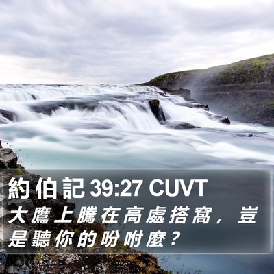 約 伯 記 39:27 CUVT Bible Verse Image