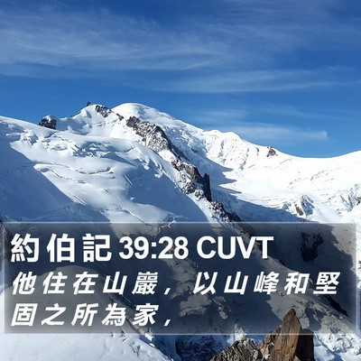 約 伯 記 39:28 CUVT Bible Verse Image