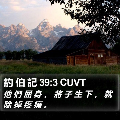 約 伯 記 39:3 CUVT Bible Verse Image