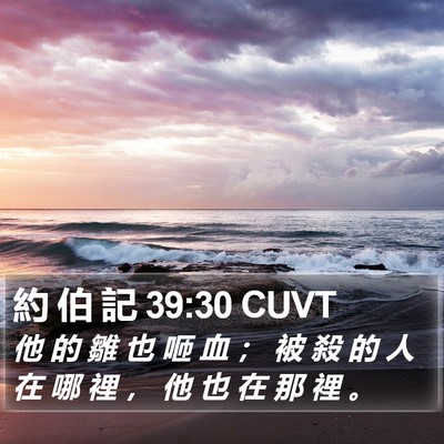 約 伯 記 39:30 CUVT Bible Verse Image