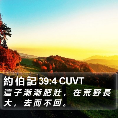 約 伯 記 39:4 CUVT Bible Verse Image