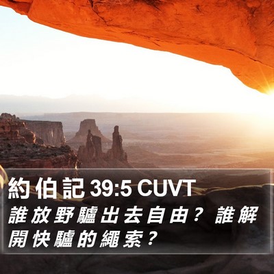 約 伯 記 39:5 CUVT Bible Verse Image