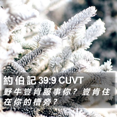 約 伯 記 39:9 CUVT Bible Verse Image