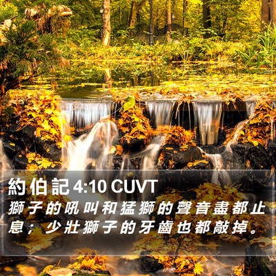 約 伯 記 4:10 CUVT Bible Verse Image