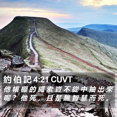 約 伯 記 4:21 CUVT Bible Verse Image