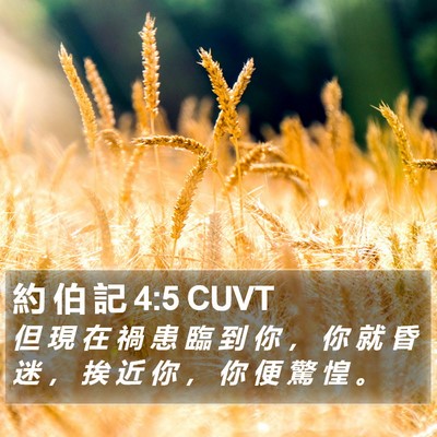 約 伯 記 4:5 CUVT Bible Verse Image