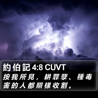 約 伯 記 4:8 CUVT Bible Verse Image