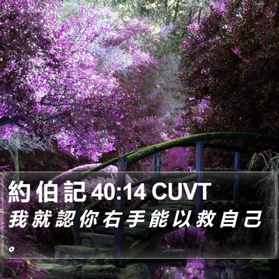 約 伯 記 40:14 CUVT Bible Verse Image