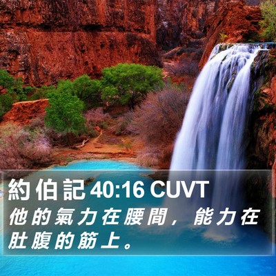 約 伯 記 40:16 CUVT Bible Verse Image