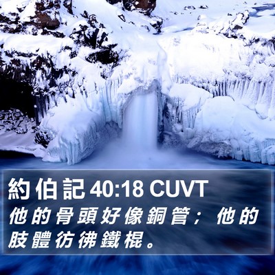 約 伯 記 40:18 CUVT Bible Verse Image
