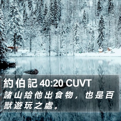 約 伯 記 40:20 CUVT Bible Verse Image