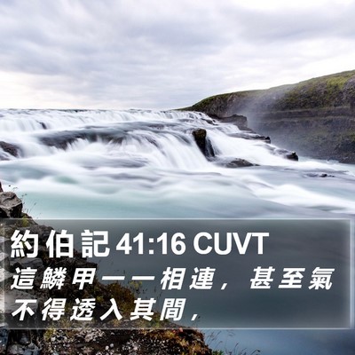 約 伯 記 41:16 CUVT Bible Verse Image