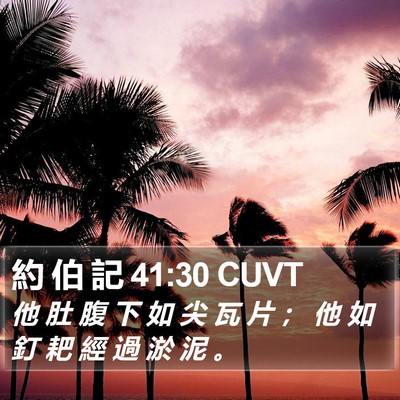 約 伯 記 41:30 CUVT Bible Verse Image