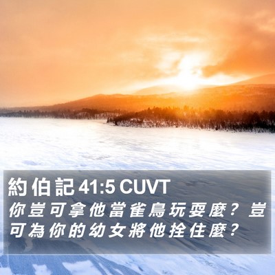 約 伯 記 41:5 CUVT Bible Verse Image
