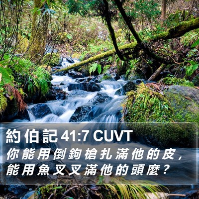 約 伯 記 41:7 CUVT Bible Verse Image
