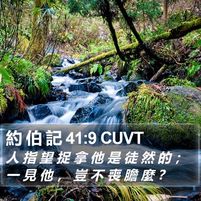 約 伯 記 41:9 CUVT Bible Verse Image