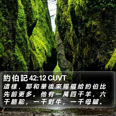 約 伯 記 42:12 CUVT Bible Verse Image