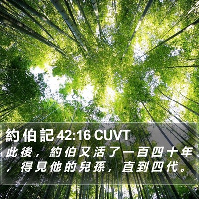約 伯 記 42:16 CUVT Bible Verse Image