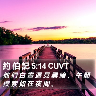 約 伯 記 5:14 CUVT Bible Verse Image