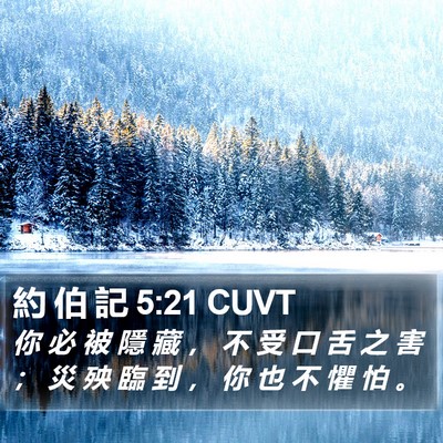 約 伯 記 5:21 CUVT Bible Verse Image