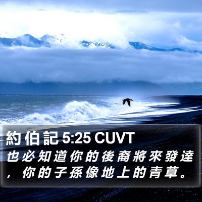 約 伯 記 5:25 CUVT Bible Verse Image