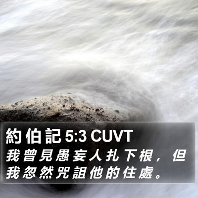 約 伯 記 5:3 CUVT Bible Verse Image