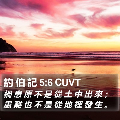 約 伯 記 5:6 CUVT Bible Verse Image
